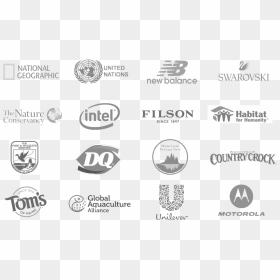 Logos Compilation 01 07 2020 - Dairy Queen, HD Png Download - thought png