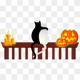 Transparent Black Cat And Pumpkin Clipart - Halloween, HD Png Download - halloween black cat png