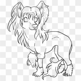 Free Chinese Crested Dog Lineart - Line Art, HD Png Download - anime lineart png