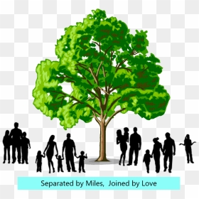 Family Reunion Tree Png, Transparent Png - family reunion png