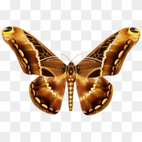 Small Brown Butterfly Clipart - Clip Art, HD Png Download - gold butterfly png