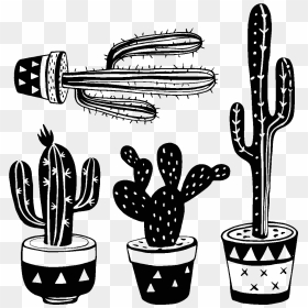 Png Cactus Black And White, Transparent Png - desert cactus png