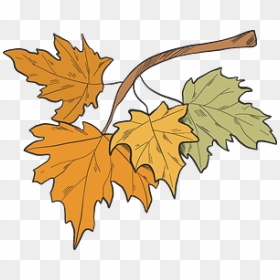 Fall Leaves Clipart - Maple Leaf, HD Png Download - fall leaf clip art png