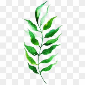 Twig, HD Png Download - fall leaf clip art png