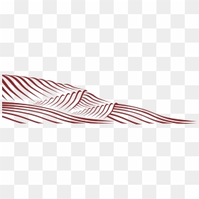 Illustration, HD Png Download - vineyard vines png