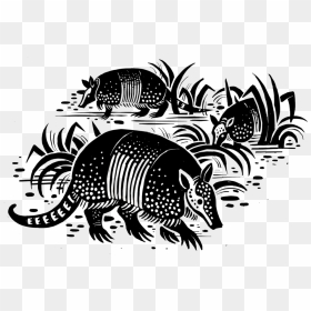 Dillo Transparent - Illustration, HD Png Download - thanksgiving transparent png