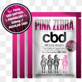 Flyer, HD Png Download - pink zebra logo png