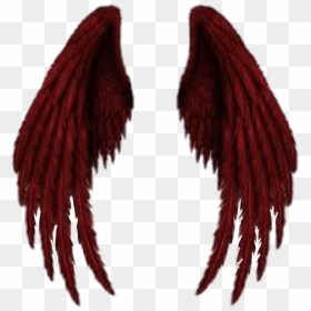 Angel And Devil Wings, HD Png Download - vhv
