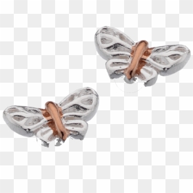Silver Butterfly Studs With Rose Gold By Sea Gems - Zebra Swallowtail, HD Png Download - gold butterfly png