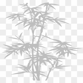 Bamboo Leaves Silhouette, HD Png Download - bamboo plants png