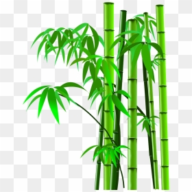 Background Bamboo Transparent - Bamboo Tree Cartoon, HD Png Download - bamboo plants png