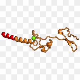 Illustration, HD Png Download - raksha bandhan png images