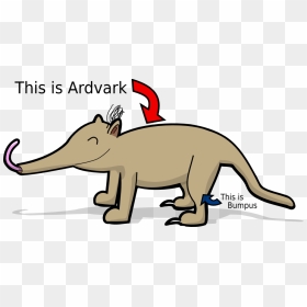 Ardvark The Aardvark Original - Free Clipart Aardvark Clip Art, HD Png Download - aardvark png