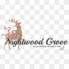 Christmas Reindeer Clipart, HD Png Download - phoebe tonkin png tumblr