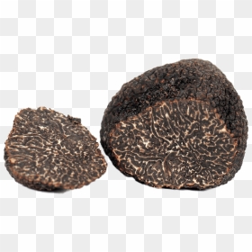 Sliced Truffle - French Perigord Black Truffle, HD Png Download - truffle png