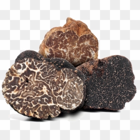 What Is A Truffle - Types Of Truffles, HD Png Download - truffle png