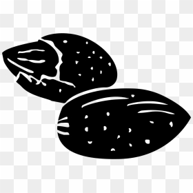 Pecan - Portable Network Graphics, HD Png Download - pecan png