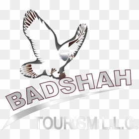 Red-tailed Hawk, HD Png Download - badshah png
