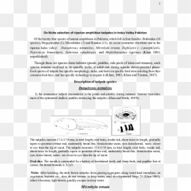 Document, HD Png Download - tadpole png