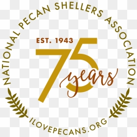 Circle, HD Png Download - pecan png
