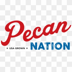 Graphic Design, HD Png Download - pecan png