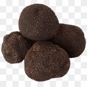 Truffle Price In The Philippines, HD Png Download - truffle png