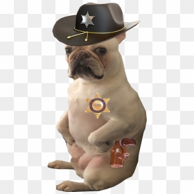 Toy Bulldog, HD Png Download - what in tarnation hat png
