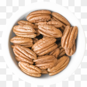 Wholesale Pecans - Lincolnshire Sausage, HD Png Download - pecan png
