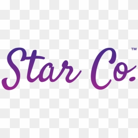 Star Company Logo - Christus St. Michael Rehabilitation Hospital, HD Png Download - hamilton star png