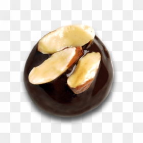 Chocolate Almond Date Truffle - Nut, HD Png Download - truffle png
