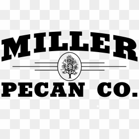 Circle, HD Png Download - pecan png