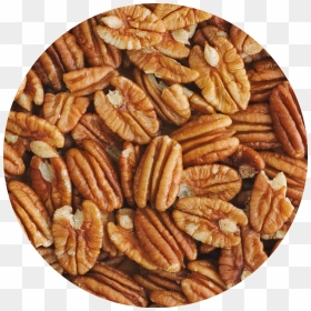 Pecan Circle - Pecan, HD Png Download - pecan png