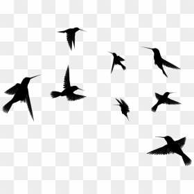 Birds Silhouette Flying - Birds Flying Silhouette Transparent Background, HD Png Download - flying birds logo png