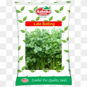 Ashok Seeds In Chilli Product , Png Download - Ashoka Seeds, Transparent Png - ashoka symbol png