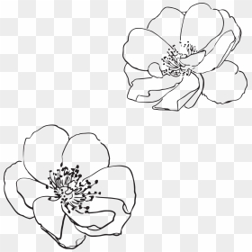 Png - Transparent Flower Outline Png, Png Download - design black and white art flower png