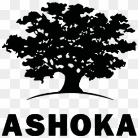 Ashoka, HD Png Download - ashoka symbol png