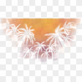 Reflection, HD Png Download - diwali fireworks wallpapers png