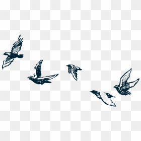 Elopementbirds-03 - Flock, HD Png Download - wedding love birds png