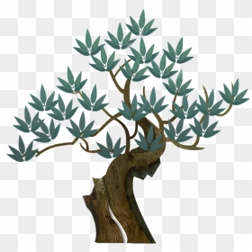 Sageretia Theezans, HD Png Download - dry tree branches png