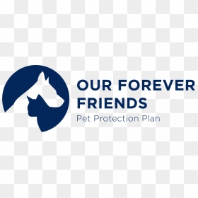 Các Trang Mạng Xã Hội, HD Png Download - friends forever png text