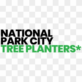 Npc Tree Planters Blk Grn Square - Graphic Design, HD Png Download - dry tree branches png