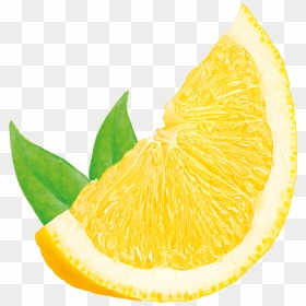 Water Lemon - Natural Foods, HD Png Download - lemon water png