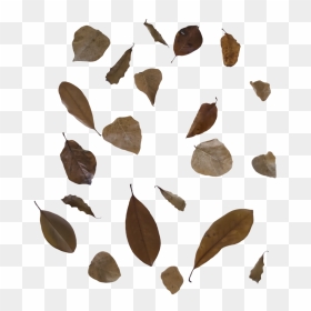 Fall Leaves 3 Png Free To Use By Kibblywibbly-d9anpwp - Fall Brown Leaf Png, Transparent Png - autumn leaves falling png