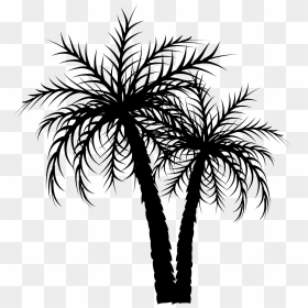 Asian Palmyra Palm Palm Trees Date Palm Coconut Image - Date Palm Tree Clipart, HD Png Download - single coconut tree png