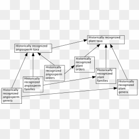 Diagram, HD Png Download - categories png