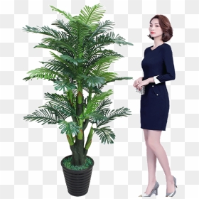 False Tree Sunflower Coconut Tree Simulation Plant - Plants, HD Png Download - single coconut tree png