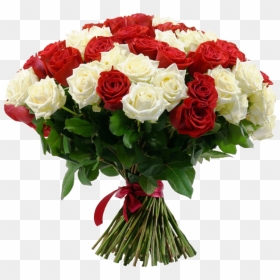 100 Red Roses Hand Bunch , Png Download - Flower Valentines Day Png, Transparent Png - red rose bunch png