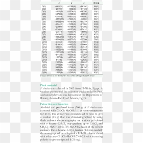 Document, HD Png Download - raees png