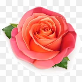 3d Rose, HD Png Download - red rose bunch png