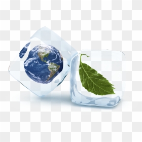 Earth Ice Cube, HD Png Download - flying leaf png